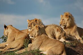 Mara Intrepids Tented Camp