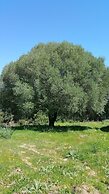 Liscia Country Relais