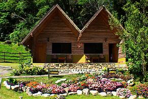 Tree Trek Boquete Adventure Park