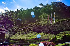 Tree Trek Boquete Adventure Park