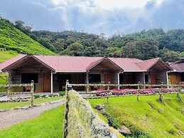 Tree Trek Boquete Adventure Park
