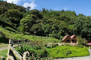 Tree Trek Boquete Adventure Park