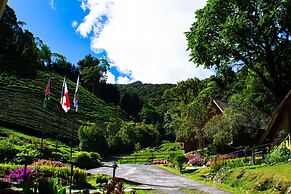 Tree Trek Boquete Adventure Park