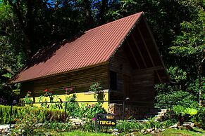 Tree Trek Boquete Adventure Park