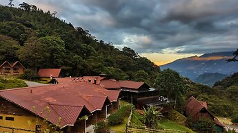Tree Trek Boquete Adventure Park