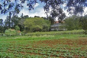 Quinta das Colmeias