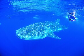 RAC Ningaloo Reef Resort