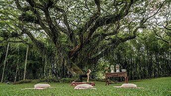 Hacienda Hotel San José