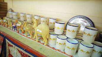Negev Camel Ranch