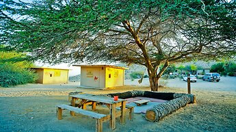 Negev Camel Ranch