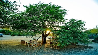 Negev Camel Ranch