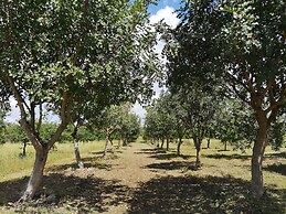 Su Leunaxiu