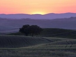 Agriturismo Renello