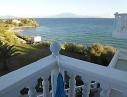 Clear Horizon