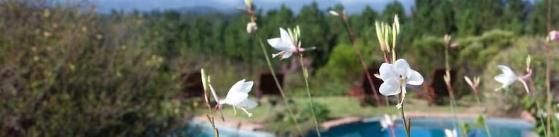Fynbos Ridge