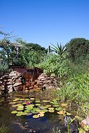 Fynbos Ridge