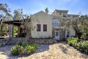 Gera's Olive Grove