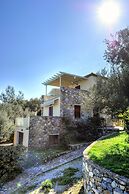 Gera's Olive Grove