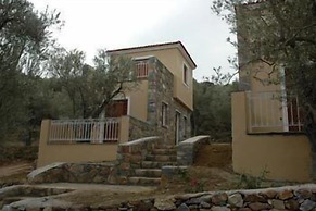 Gera's Olive Grove