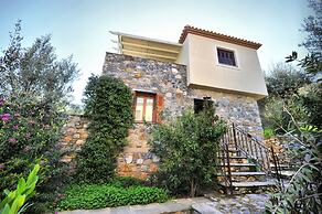 Gera's Olive Grove