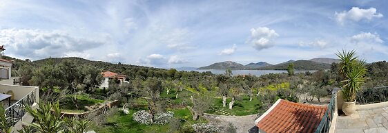 Gera's Olive Grove