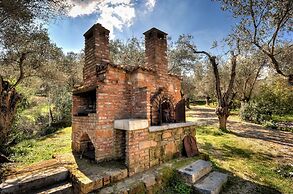 Gera's Olive Grove