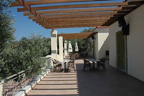 Gera's Olive Grove
