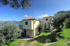 Gera's Olive Grove