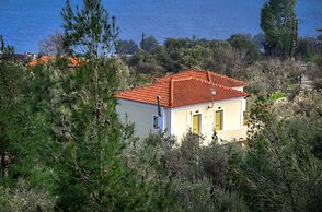 Gera's Olive Grove
