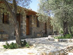 Gera's Olive Grove