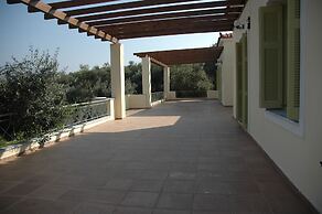 Gera's Olive Grove