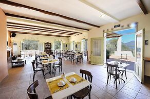 Gera's Olive Grove