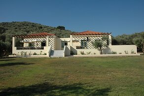Gera's Olive Grove