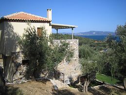 Gera's Olive Grove