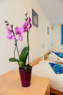 Hotel Loka