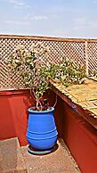 Riad Sidi Mimoune