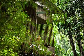 Hamadryade Lodge