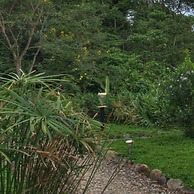 Hamadryade Lodge