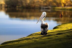 Discovery Parks - Renmark Riverfront