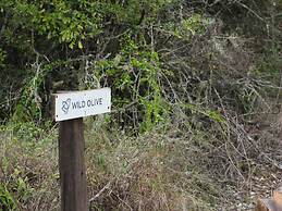 Barefoot Addo Elephant Lodge