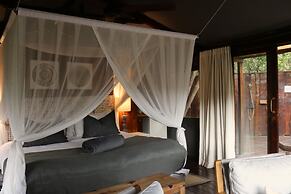 Barefoot Addo Elephant Lodge