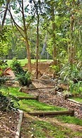 Rainforest Ranch