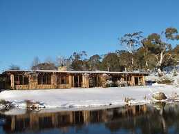 Snowy Wilderness