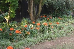 3 Melrose Road