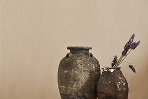 Naxian Collection