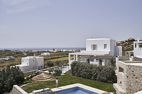 Naxian Collection