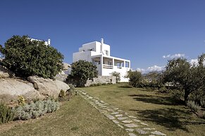 Naxian Collection