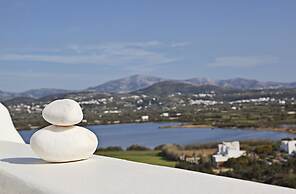 Naxian Collection
