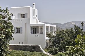 Naxian Collection