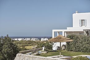 Naxian Collection